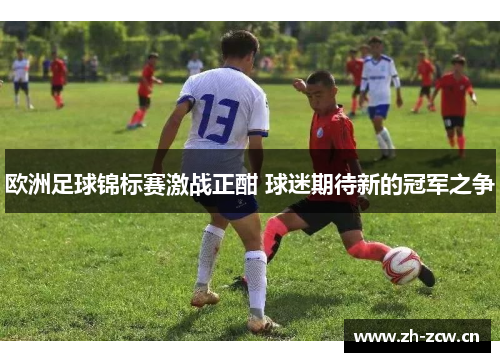 欧洲足球锦标赛激战正酣 球迷期待新的冠军之争