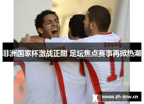 非洲国家杯激战正酣 足坛焦点赛事再掀热潮