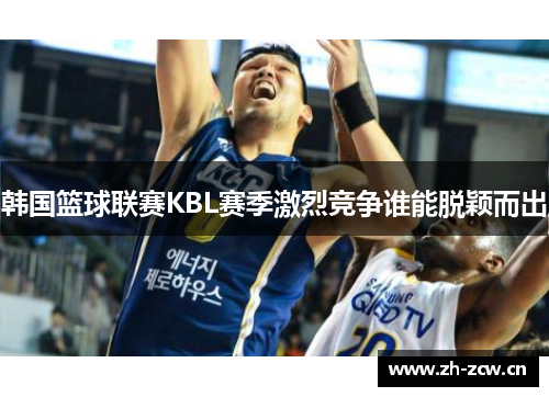 韩国篮球联赛KBL赛季激烈竞争谁能脱颖而出